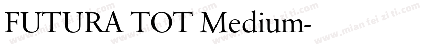 FUTURA TOT Medium字体转换